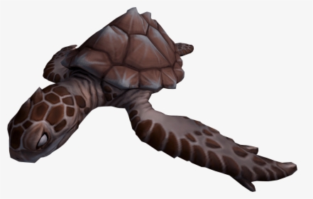 The Runescape Wiki - Burnt Turtle, HD Png Download, Free Download