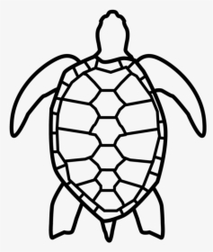 Sea Turtle Icon Transparent, HD Png Download, Free Download