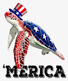 4th Of July Turtle, HD Png Download, Free Download