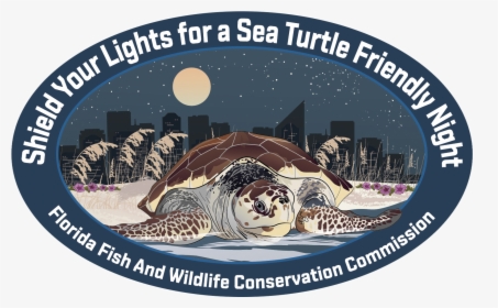 Sea Turtle Decal - Kemp's Ridley Sea Turtle, HD Png Download, Free Download