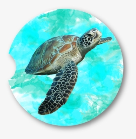 Sea Turtle Car Coaster 1 - Sea Turtle Transparent Background, HD Png Download, Free Download