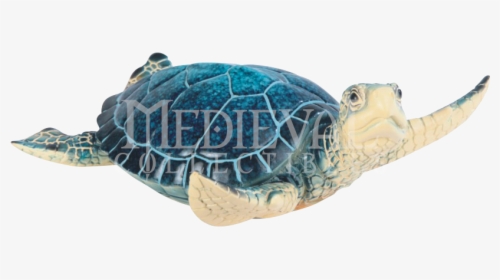 Hawksbill Sea Turtle, HD Png Download, Free Download