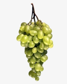 Grape Png Image Download, Free Picture - Fruit Png, Transparent Png, Free Download