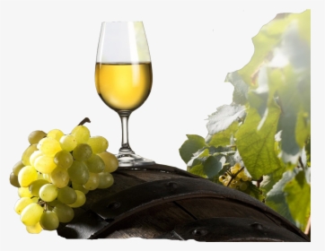 Grapes And Wine Png, Transparent Png, Free Download