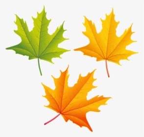 Falling Autumn Leaves Png High-quality Image - Fall Leaves Free Clip Art, Transparent Png, Free Download