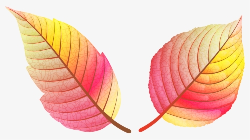 Colorful Fall Leaves Png - Fall Colorful Leaves Clipart, Transparent Png, Free Download
