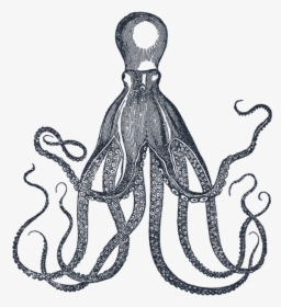 Octopus Print, Octopus Tentacles, Vintage Mermaid, - Octopus Vintage Kraken, HD Png Download, Free Download