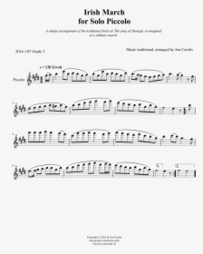 Irish Piccolo Solos, HD Png Download, Free Download