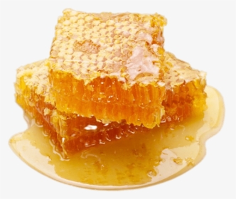 Raw Honeycomb - Honeycomb Korea, HD Png Download, Free Download