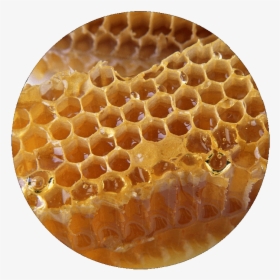 Honeycomb , Png Download - Honeycomb, Transparent Png, Free Download