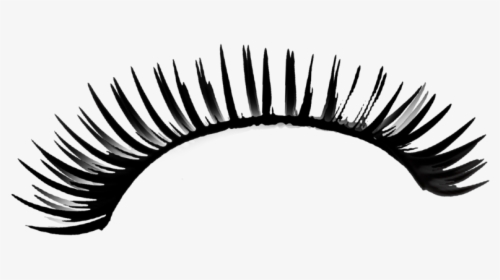 Lashes Png Images Free Transparent Lashes Download Kindpng