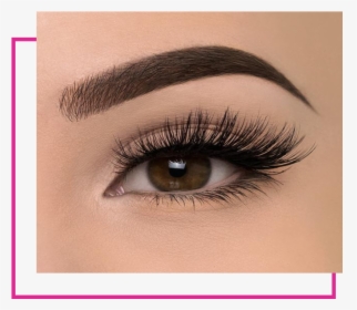 Fake Lashes , Png Download - Weylie X Elf Luxe Lash Kit, Transparent Png, Free Download
