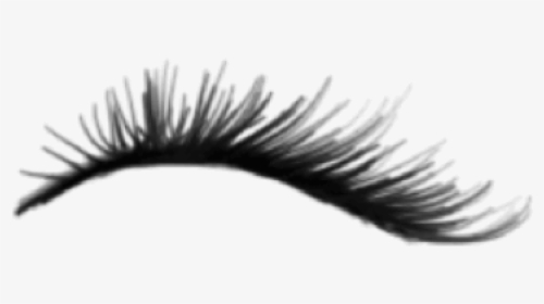 #eyelash - Eyelashes Drawing Png, Transparent Png, Free Download