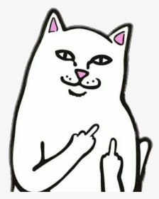 #cat #png #fu #freetoedit - Fuck You Cat Meme, Transparent Png, Free Download