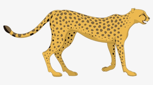 Cartoon Cheetah Transparent Background, HD Png Download, Free Download