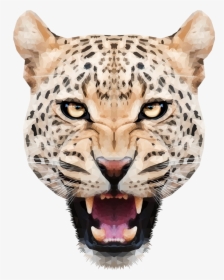 Leopard - Leopar Png, Transparent Png, Free Download