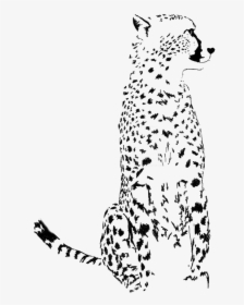 Dalmatian Leopard, HD Png Download, Free Download