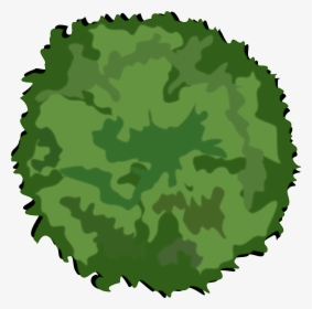 Tree Top Png - Tree Icon Top View, Transparent Png, Free Download