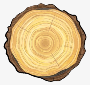 Tree Wellness Alpharetta, Ga - Top Tree Stump Png, Transparent Png, Free Download