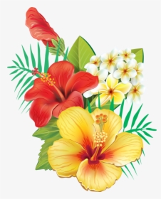 Hawaiian Tropical Flowers Png, Transparent Png, Free Download