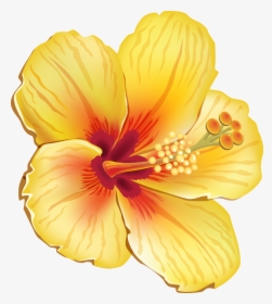 More From My Site - Tropical Flower Vector Png, Transparent Png, Free Download