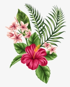 Svg Transparent Tropical Watercolor Flowers Leaves - Hibiscus Hawaiian Flower Drawing, HD Png Download, Free Download