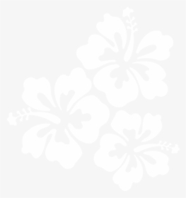 Transparent Hawaiian Flowers Png - White Hibiscus Flower Clipart, Png Download, Free Download