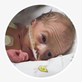 Premature Baby Boy, HD Png Download, Free Download