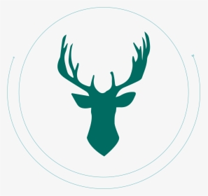 Deer Antler Png - Deer Head Vector Png, Transparent Png, Free Download