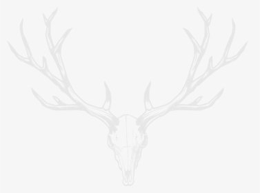 White Antlers Transparent, HD Png Download, Free Download
