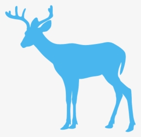 Deer Silhouette Hd Clipart, HD Png Download, Free Download
