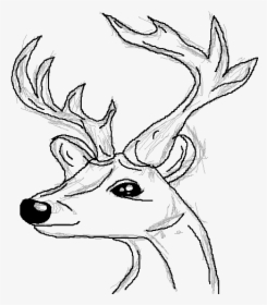 Moose Clipart Reindeer Headband - Deers Drawings, HD Png Download, Free Download