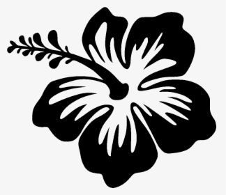 Silhouette Drawing Hibiscus - Hibiscus Flower Silhouette, HD Png Download, Free Download