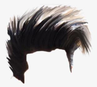 Picsart Hair PNG Images, Free Transparent Picsart Hair Download - KindPNG