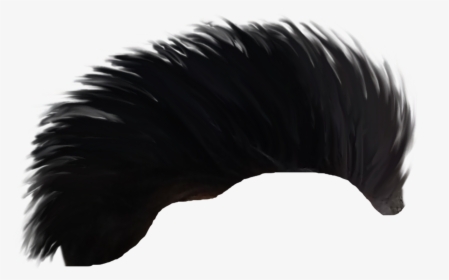 Hair Png - Tail, Transparent Png, Free Download