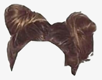 Png - Hairstyle - Chocolate, Transparent Png, Free Download
