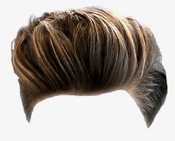 Transparent Wig Png Transparent - Png Hairstyle Boy Picsart, Png Download, Free Download