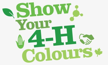 Showyour4-h Colours Logo 2019 Rgb Angle - Poster, HD Png Download, Free Download