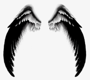 Real Black Angel Wings, HD Png Download, Free Download