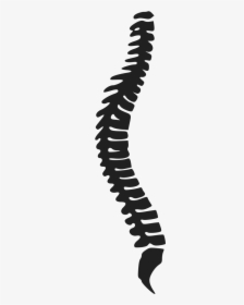 Transparent Png Of A Spine - Rug, Png Download, Free Download