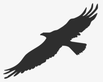 Bald Eagle Silhouette Png, Transparent Png, Free Download