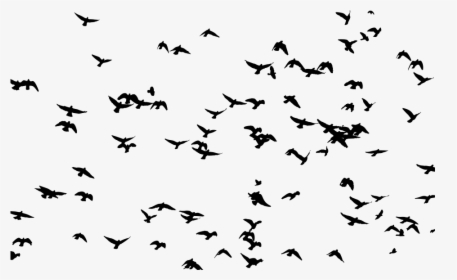 Large Flock Of Birds Silhouette - Flock Of Birds Silhouette Png, Transparent Png, Free Download