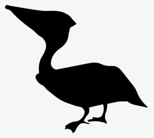 Anhinga Bird Silhouette - Icon, HD Png Download, Free Download