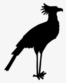 Secretary Bird Silhouette Vector Image - Bird Silhouette Art, HD Png Download, Free Download