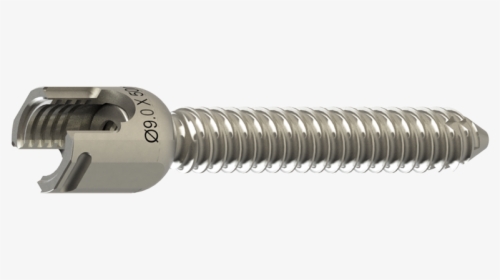 Captiva Spine Larger Diameter Pedicle Screw - Spine Pedicle Screw, HD Png Download, Free Download
