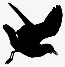 Seagull Silhouette Png - Png Seagull Silhouette Png, Transparent Png, Free Download