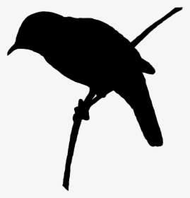 Perched Bird Silhouette Art, HD Png Download, Free Download