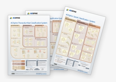 Aospine Classifications, HD Png Download, Free Download