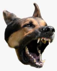 #dog #rage - Angry Dog No Background, HD Png Download, Free Download