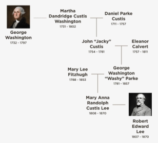 Mary Lee Family Tree, HD Png Download, Free Download